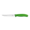 Slika Victorinox 6.7936.12L4B 2/1 Steak&Pizza  12cm zeleni nož