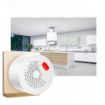 Slika WFS-GS400A Wi-Fi smart senzor gasa sa sirenom