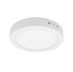 Slika Prosto LNP-O12/W 12W, 6500K LED okrugla nadgradna svetiljka