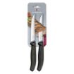 Slika Victorinox 6.7933.12 Swiss Classic 2/1 za gurmanske odreske 12cm nož za čišćenje