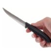 Slika Victorinox 6.7933.12 Swiss Classic 2/1 za gurmanske odreske 12cm nož za čišćenje