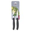 Slika Victorinox 6.7633.B 2/1 Paring nož za jelo